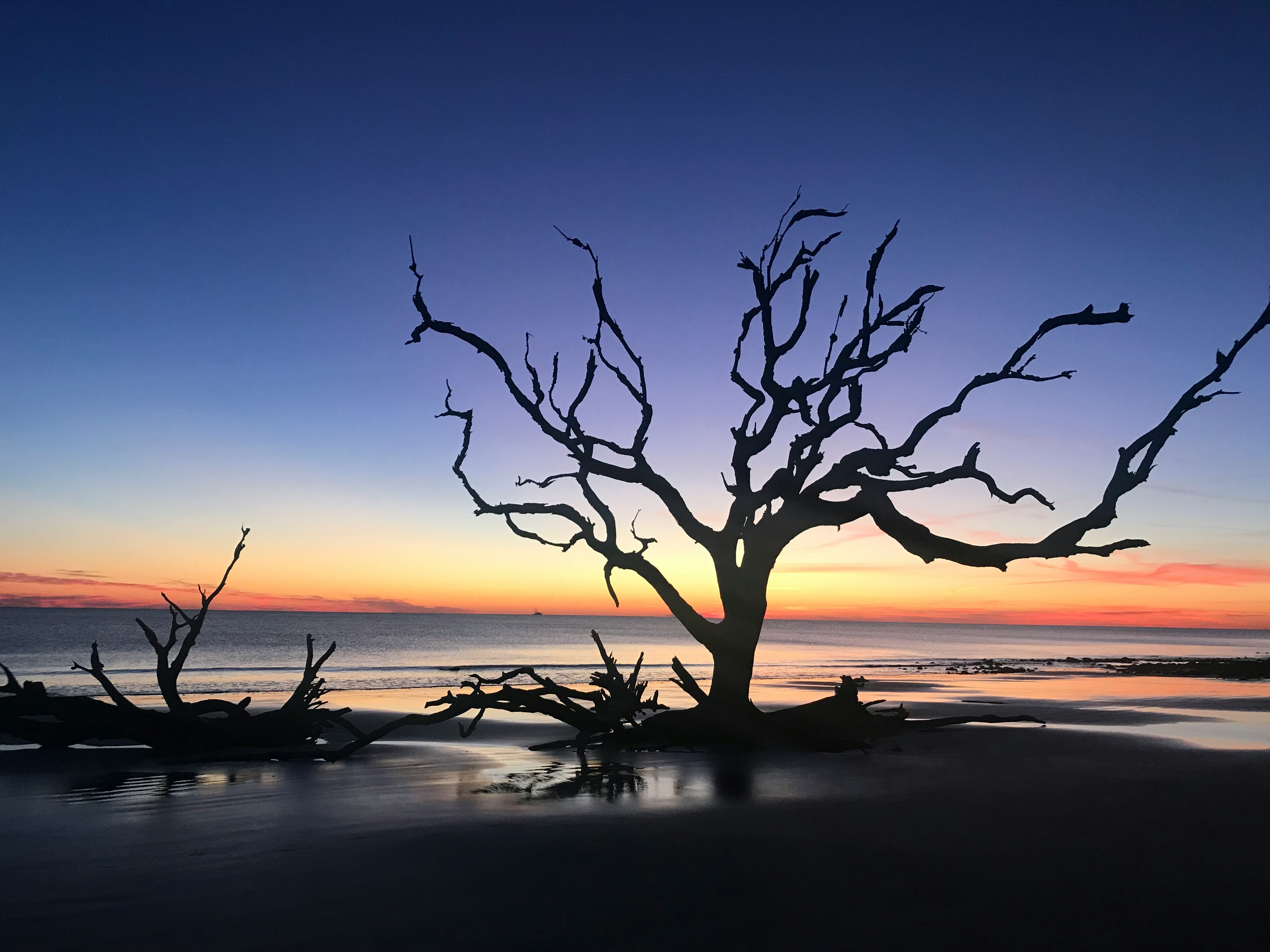 The Georgia coast